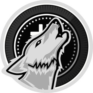 Логотип канала wolfcryptoann