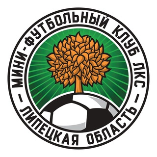 Логотип mfc_lks