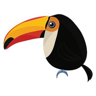 Логотип канала toucantrip