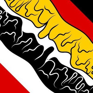 Логотип канала patriotischestimmedeutschlands