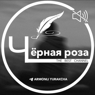 Логотип канала armonli_yurakcha