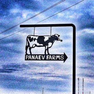 Логотип panaevfarms