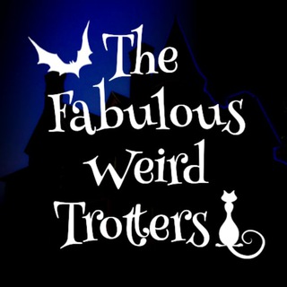 Логотип канала thefabulousweirdtrotters