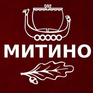 Логотип канала mitinoorg