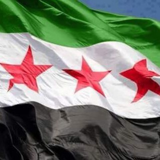 Логотип канала syrian_revolutionn