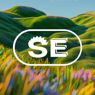 Логотип канала setterseducation
