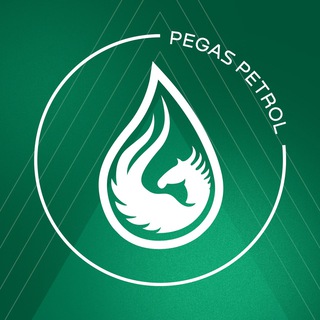 Логотип канала pegas_petrol