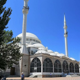 Логотип dagestan_reg