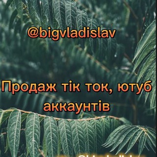 Логотип канала tiktokandyoutubebig