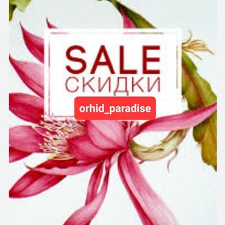 Логотип sali_orhids_paradis