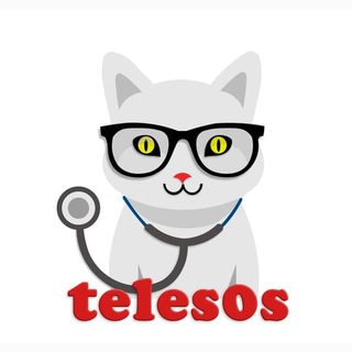 Логотип канала teles0si