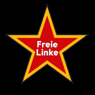 Логотип freielinkeinfo