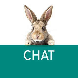 Логотип proexpert_chat