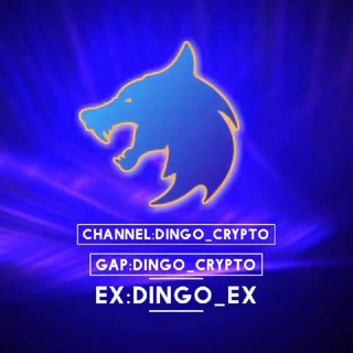 Логотип канала dingo_crypto