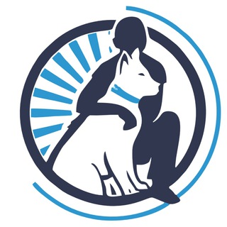 Логотип канала dogtraineasy
