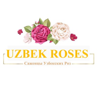 Логотип канала uzbek_roses