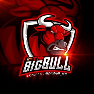 Логотип канала bigbull_t10