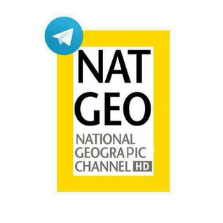 Логотип nationalgeographicchannel