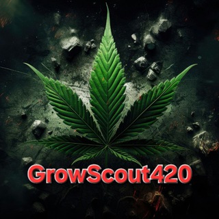 Логотип канала growscout420chat