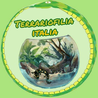 Логотип канала terrariofilia_italia