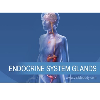 Логотип канала endocrininformation