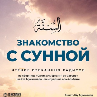 Логотип канала hadisi_sunna