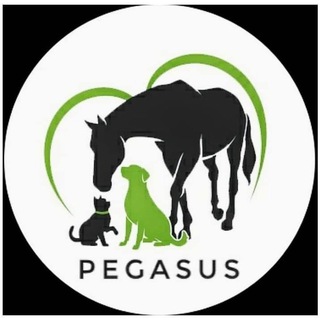 Логотип pegasyss