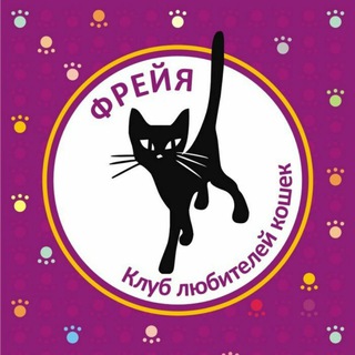 Логотип канала freya_tomsk