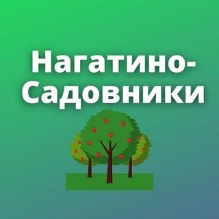 Логотип канала nagsadmsk