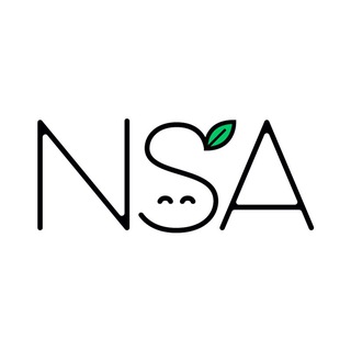 Логотип nsa_academy