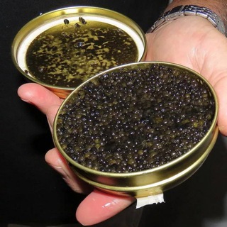 Логотип канала Caviar_kupit