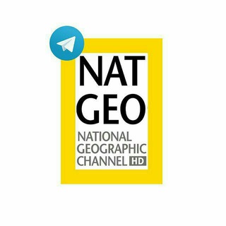 Логотип канала national_geoo1