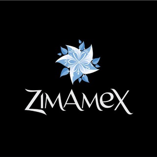 Логотип zimamex