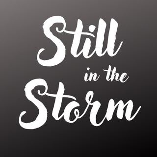 Логотип канала stillinthestorm