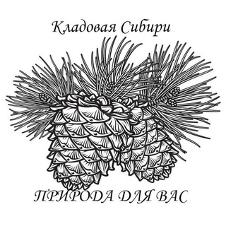 Логотип канала kladsibir