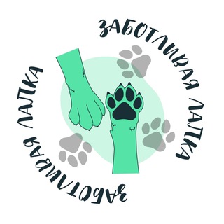 Логотип канала caringpawvet