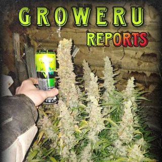 Логотип канала groweru_reports