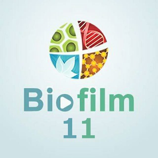 Логотип biofilm_11