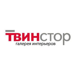 Логотип twinstore_blog