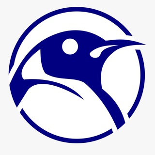 Логотип канала sorokalife