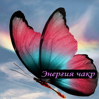 Логотип канала butterfly_lili8