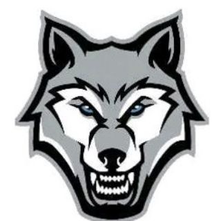 Логотип канала mediawolf
