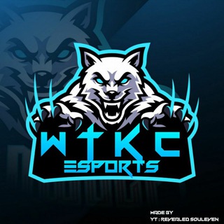 Логотип канала wtkcesports