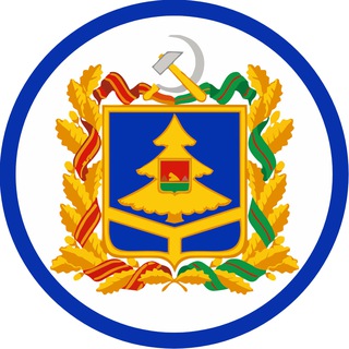 Логотип канала bryansk_smi