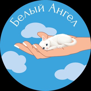 Логотип канала white_angel71