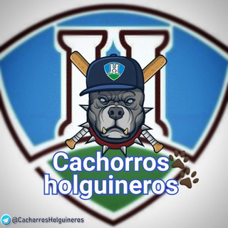 Логотип канала cachorrosholguineros