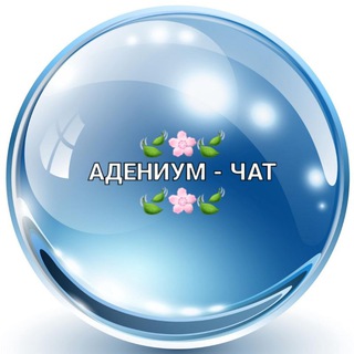 Логотип канала adeniumy_chat