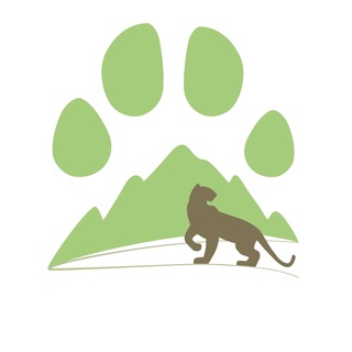 Логотип канала leopardmonitoring