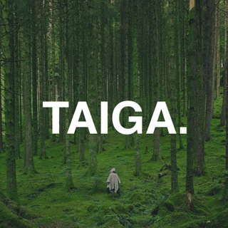 Логотип канала taiga_rf