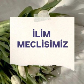 Логотип ilimmclsi